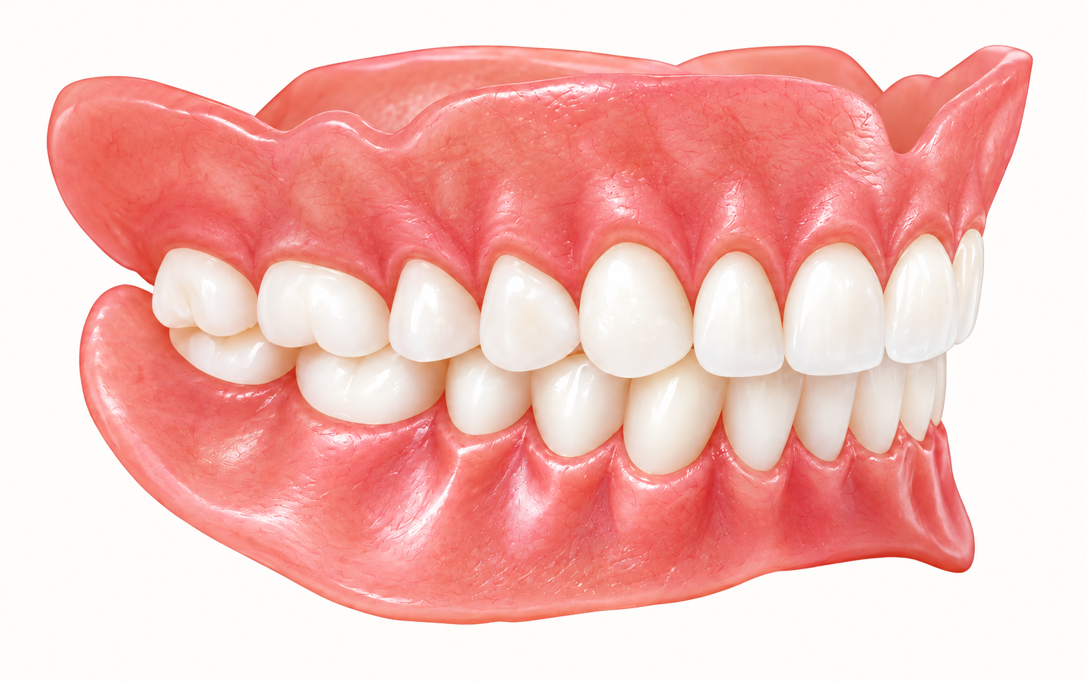 Premium denture illustration with detailed gum festooning and natural contours